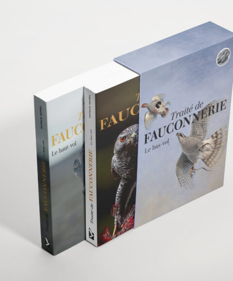 3D coffret basvol