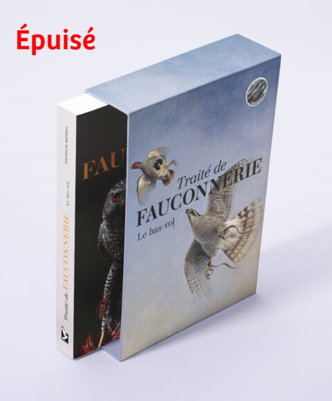 3D coffret hautvol 2evolume