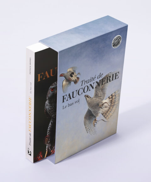 3D coffret hautvol 2evolume