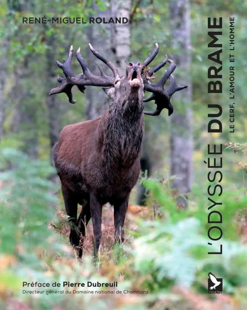 Newsletter octobre 2025