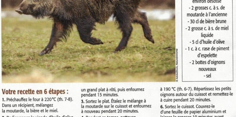 ConnaissanceDeLaChasse dec2025(2) page 001