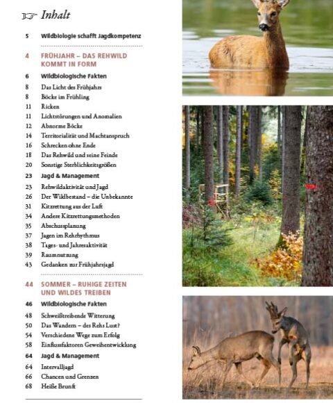 Intérieur Alld Bien chassser le chevreuil 2