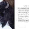 9782351913567 extrait 4