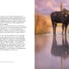 9782351913567 extrait 7