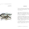 Planches 7