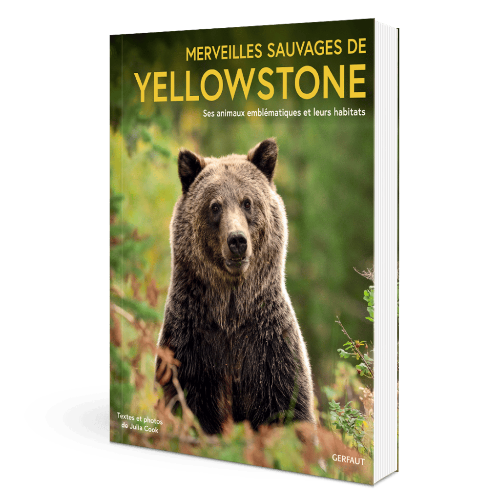 BOOK YELLOWSTON