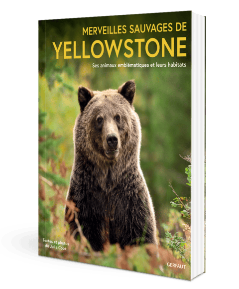BOOK YELLOWSTON