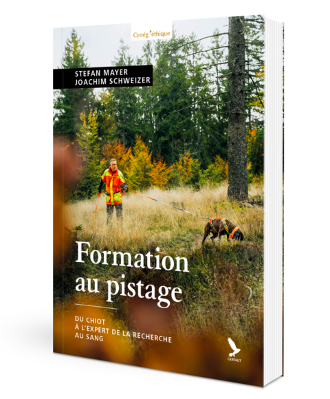 FORMATION AU PISTAGE